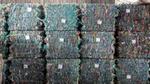 Stacks of compressed bales of plastic waste, bound tightly and arranged in rows. The bales consist of various colourful plastic materials.