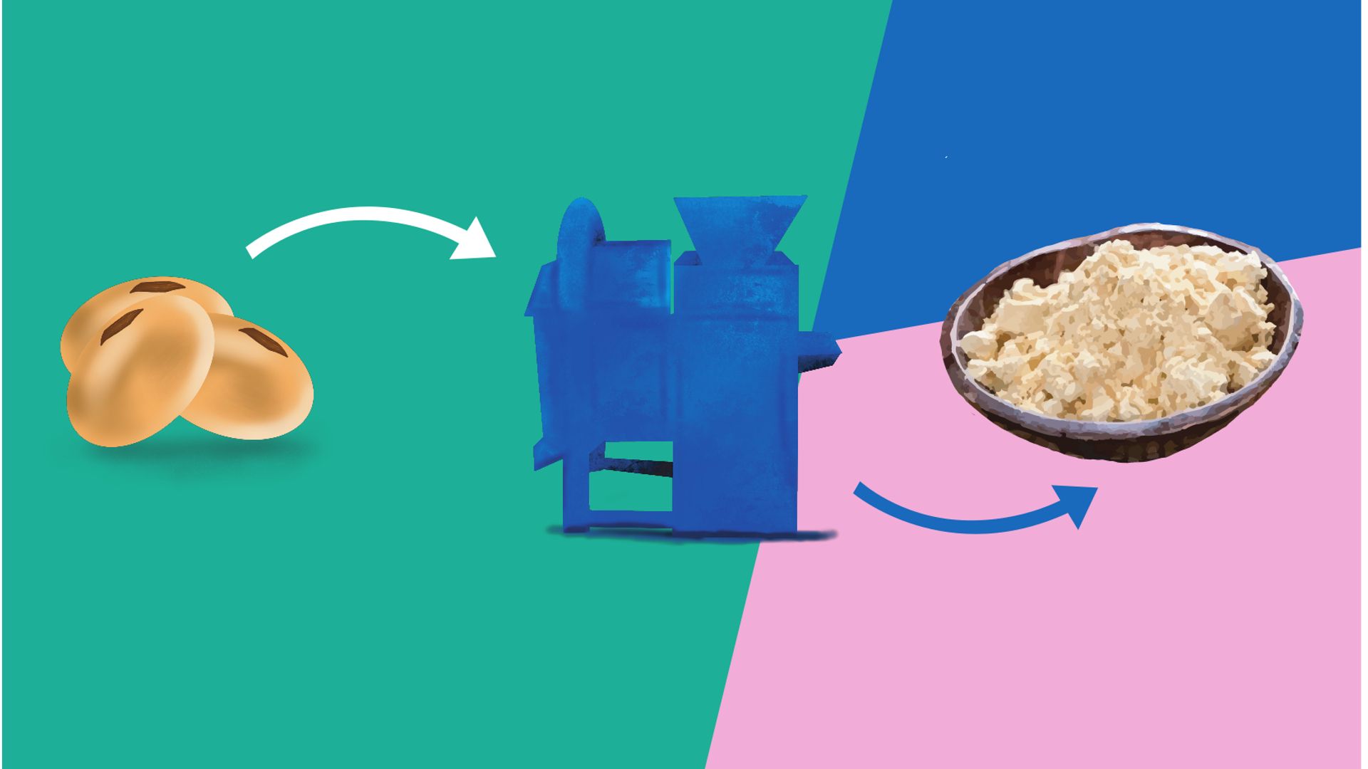 איור של תהליך עיבוד פולי סויה