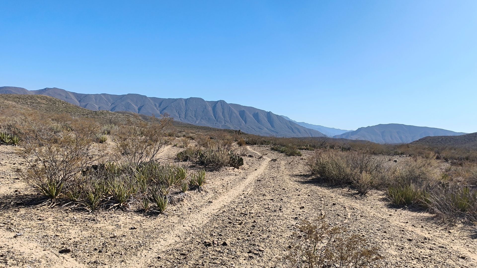 Dry desert trail leading toward distant blue mountains under a clear sky
