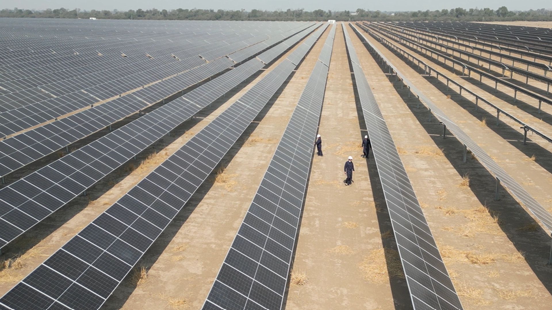 Rows of solar panels stretch into the distance. Three workers in safety gear and helmets walk between the rows, inspecting the panels.