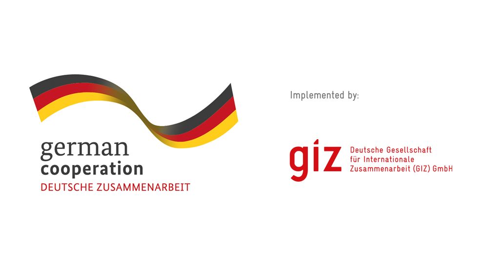 GIZ Logo