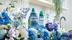 Two Comfort bottles from the Botanicals and Elixir ranges on a white shelf surrounded by blue, lavender, pink and white flowers.