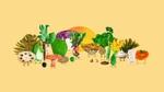Illustrations of various cartoon vegetables