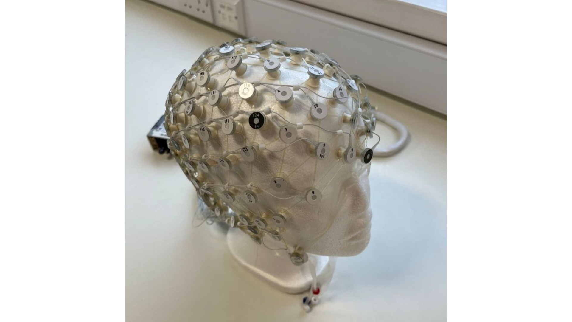 An EEG headset on a mannequin head. This technology is used in neurosignalling to track brain signals affected by sensory triggers.