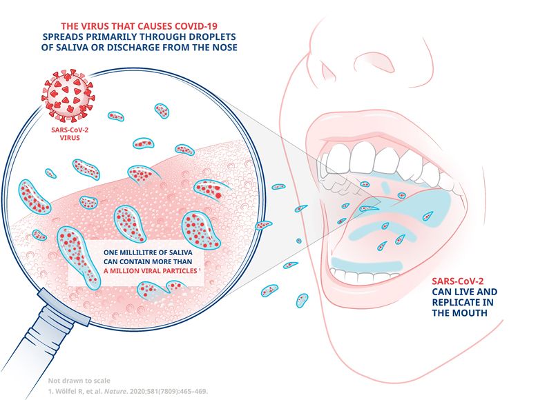 A diagram illustrating how the virus that causes Covid-19 is spread