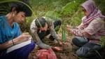 Three people working in the forest planting trees