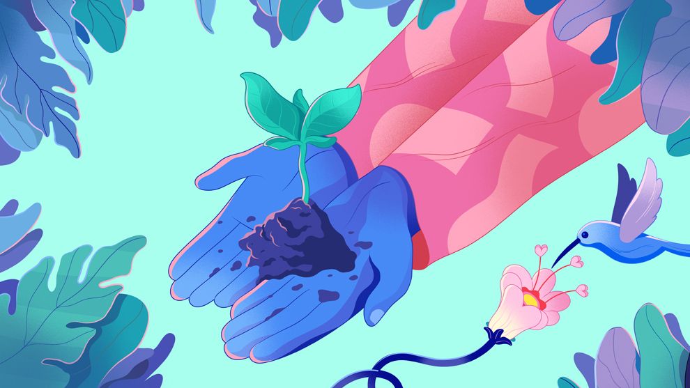 Two hands holding a seedling