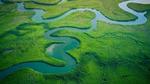 An aerial view of a green forest landscape with winding rivers.
