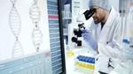 Scientist looking through microscope