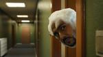 A person with a shaved beard and foam covering their head peeks through a slightly open doorway into a corridor with green walls and overhead lights.