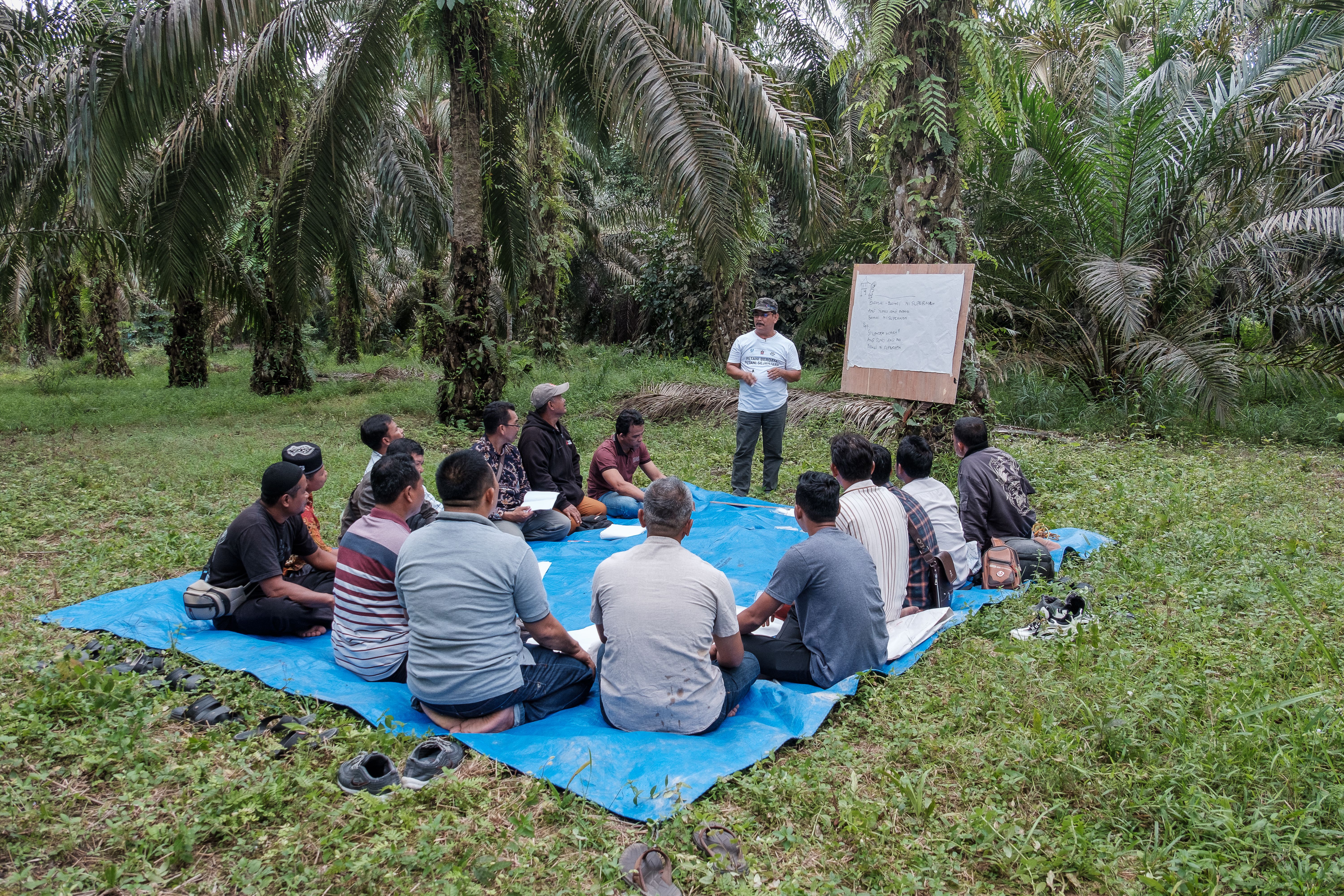A group of people are seated in a circle on a blue tarpaulin sheet surrounded by palm trees. A facilitator is conducting a training session.