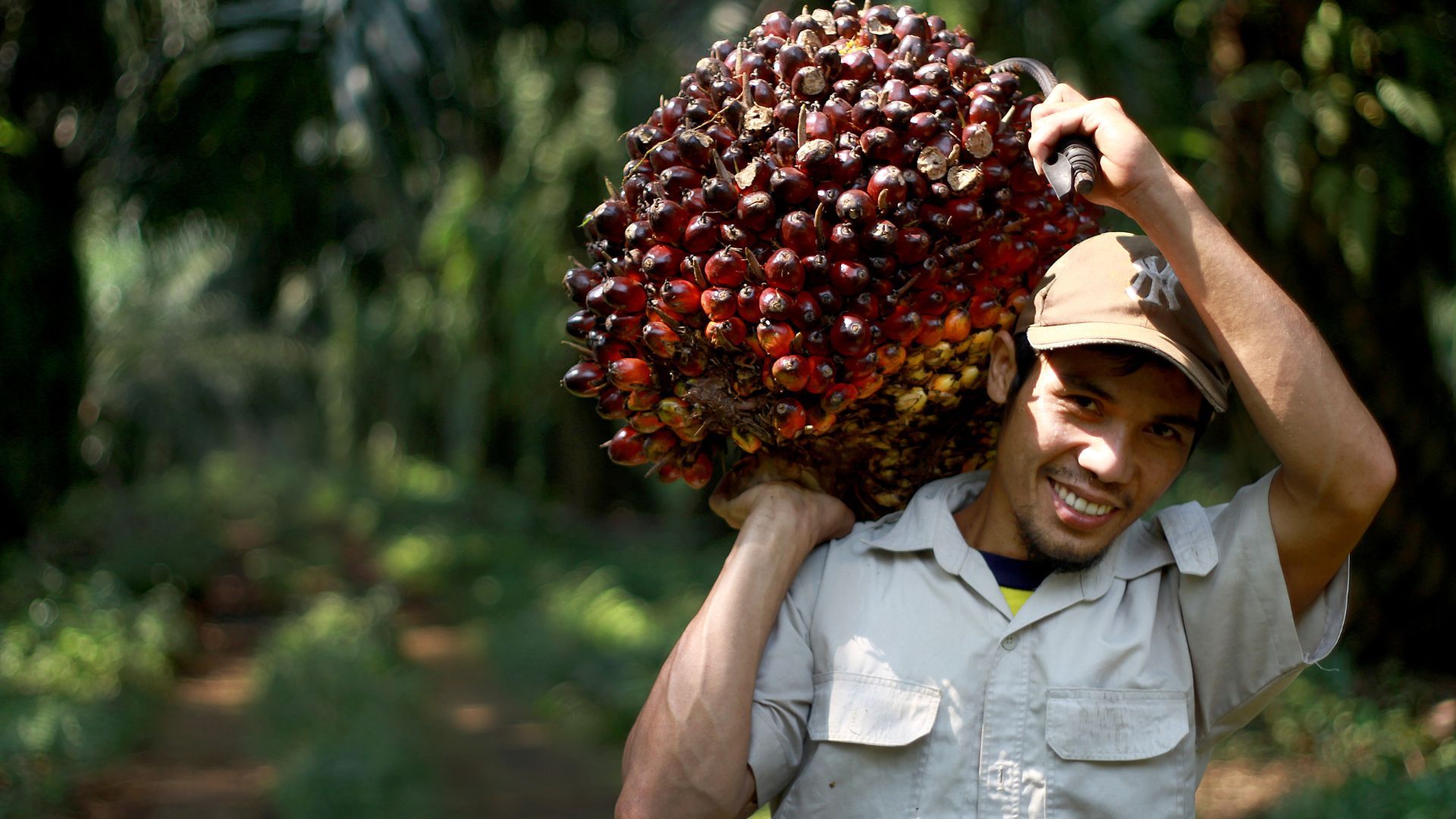 Man smiling while carrying palm fruit 
