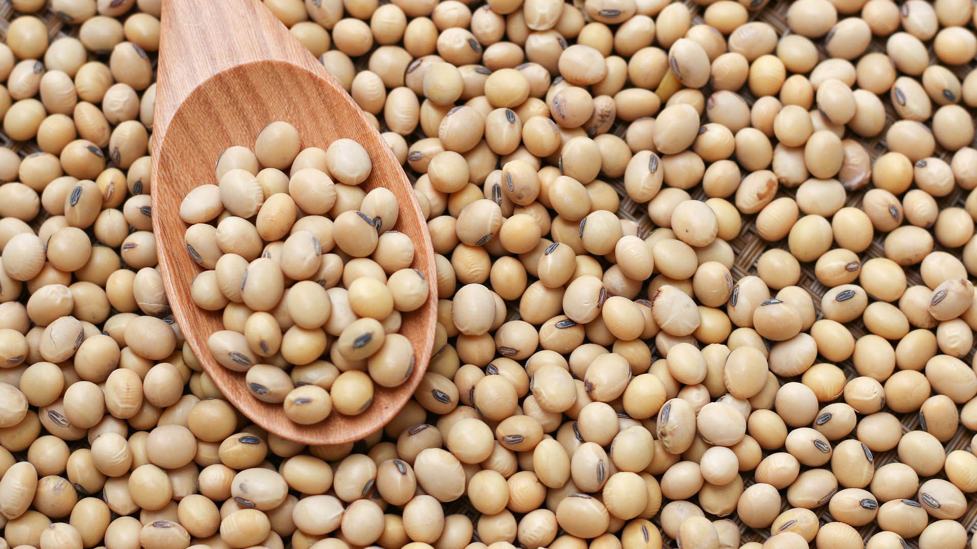 Pile of soybeans, some on a wooden spoon. Unilever uses soy as an ingredient across its plant-based foods portfolio.