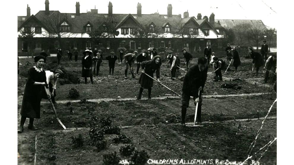 Port Sunlight allotments