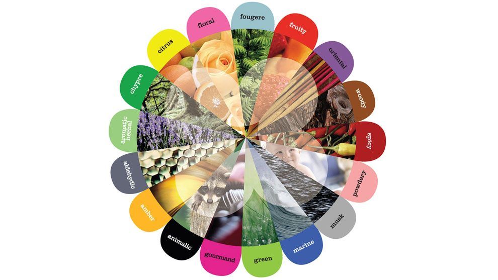 Unilever Flower wheel