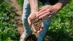 Close up of hands in a field. The hands are holding soil.
