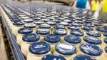 Hellmann’s mayonnaise jars on a production line at Poznan, a Unilever factory recognised for its talent innovation.