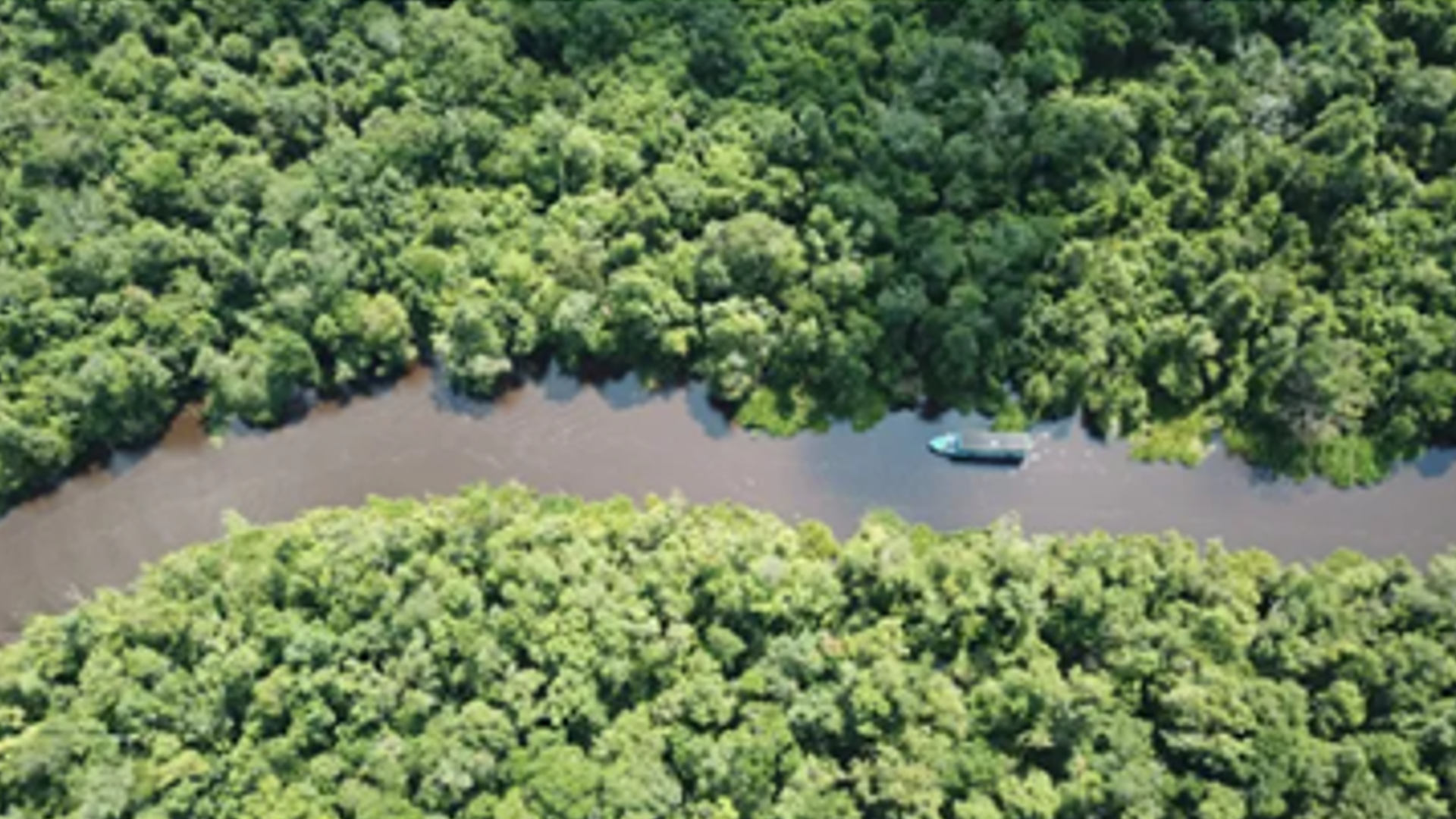 Boat on river moving through tropical forest.
