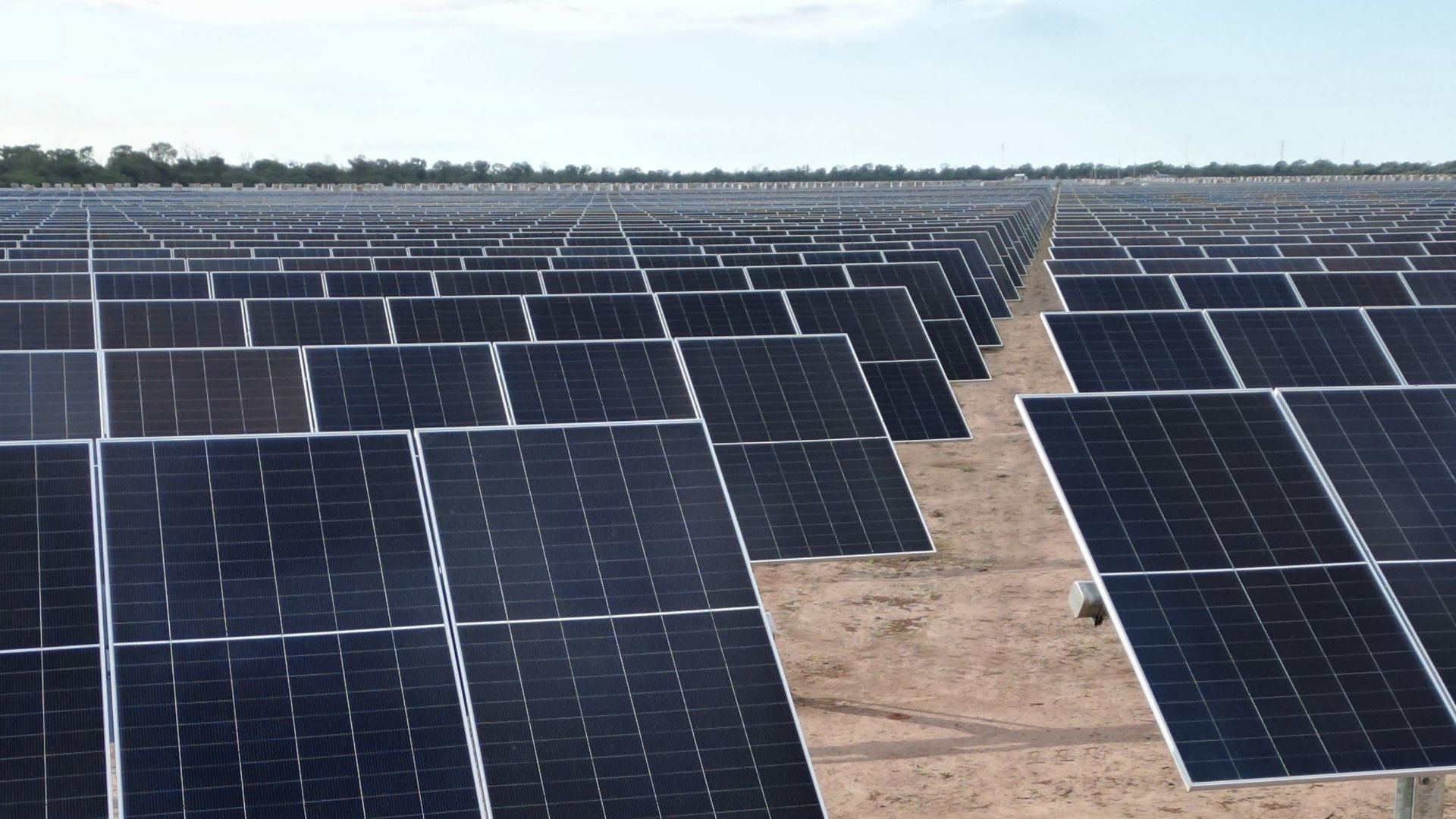 Rows of solar panels installed on a flat, dry field under a blue sky, with green trees in the distance.