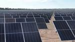 Rows of solar panels installed on a flat, dry field under a blue sky, with green trees in the distance.