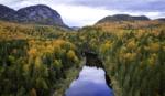 Aerial view of a river snaking through a dense forest on both banks with mountains in the distance