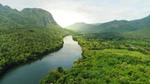 Aerial view of river running through forest.