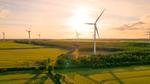 Windturbines located in a large grassland landscape with the sun shining.