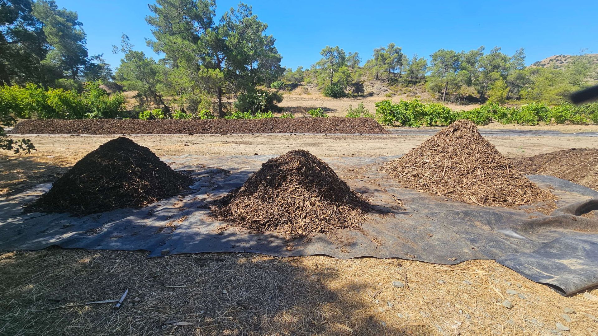 Three piles of wood mulch on tarps in an outdoor agricultural area with trees in the background
