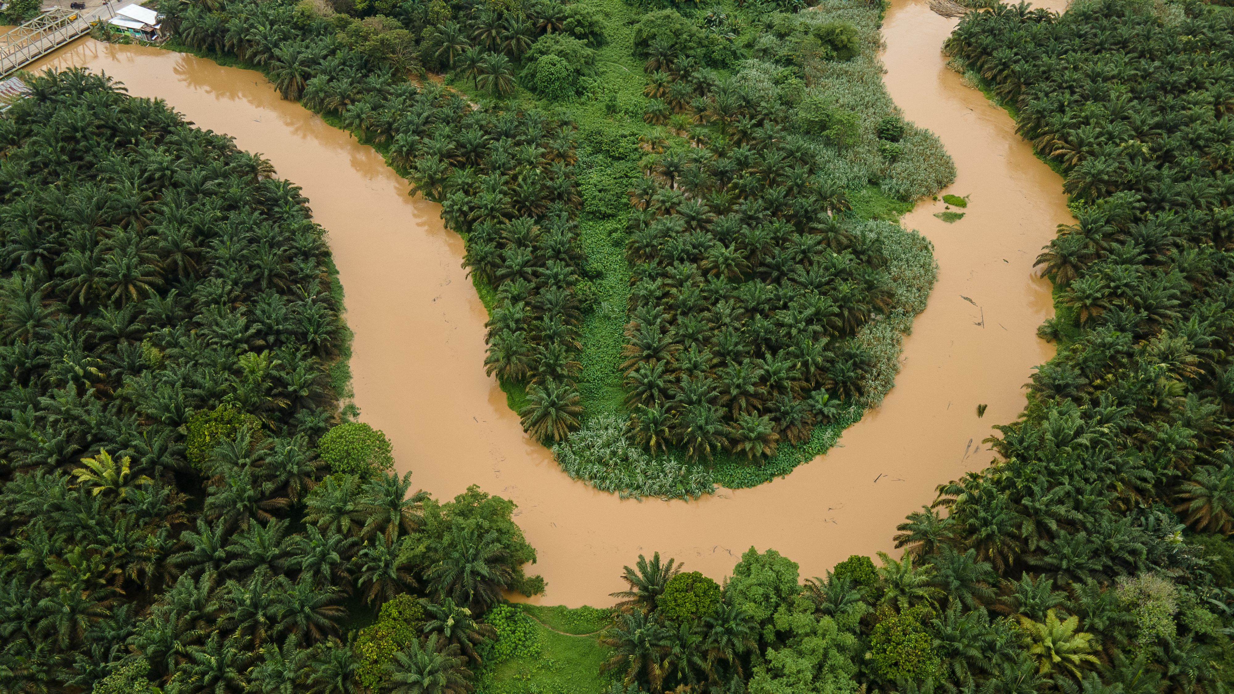 An aerial view of a winding river with muddy brown water surrounded by dense tropical vegetation, including palm trees.