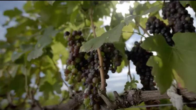 how we're helping a new generation of farmers