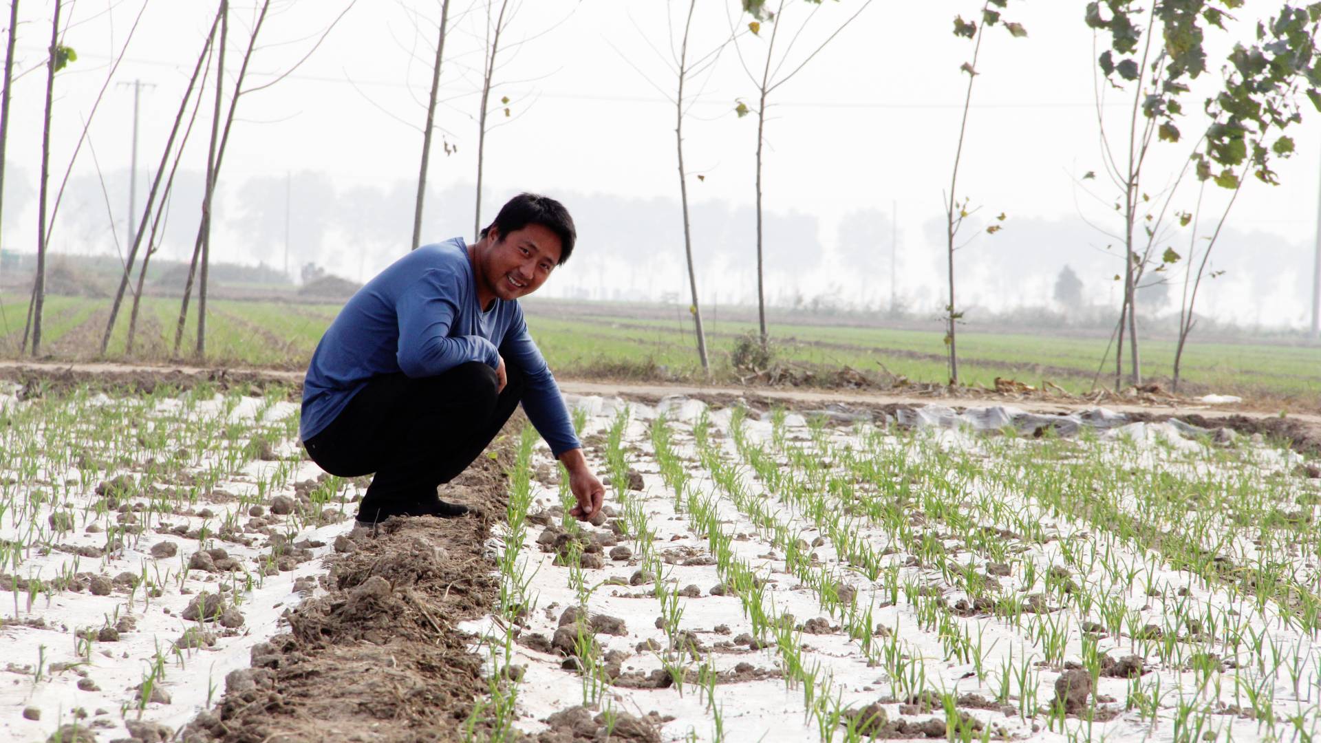 A garlic farmer checks on his crop, part of a project implementing regenerative agriculture practices, supported by Pur and Unilever in China. 
