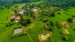 View of lush fields