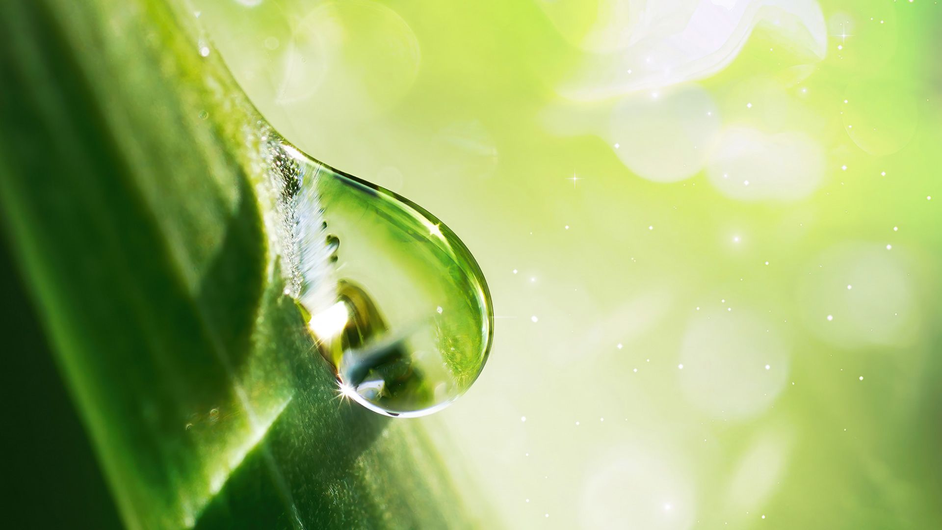 Image showcasing sustainable energy.