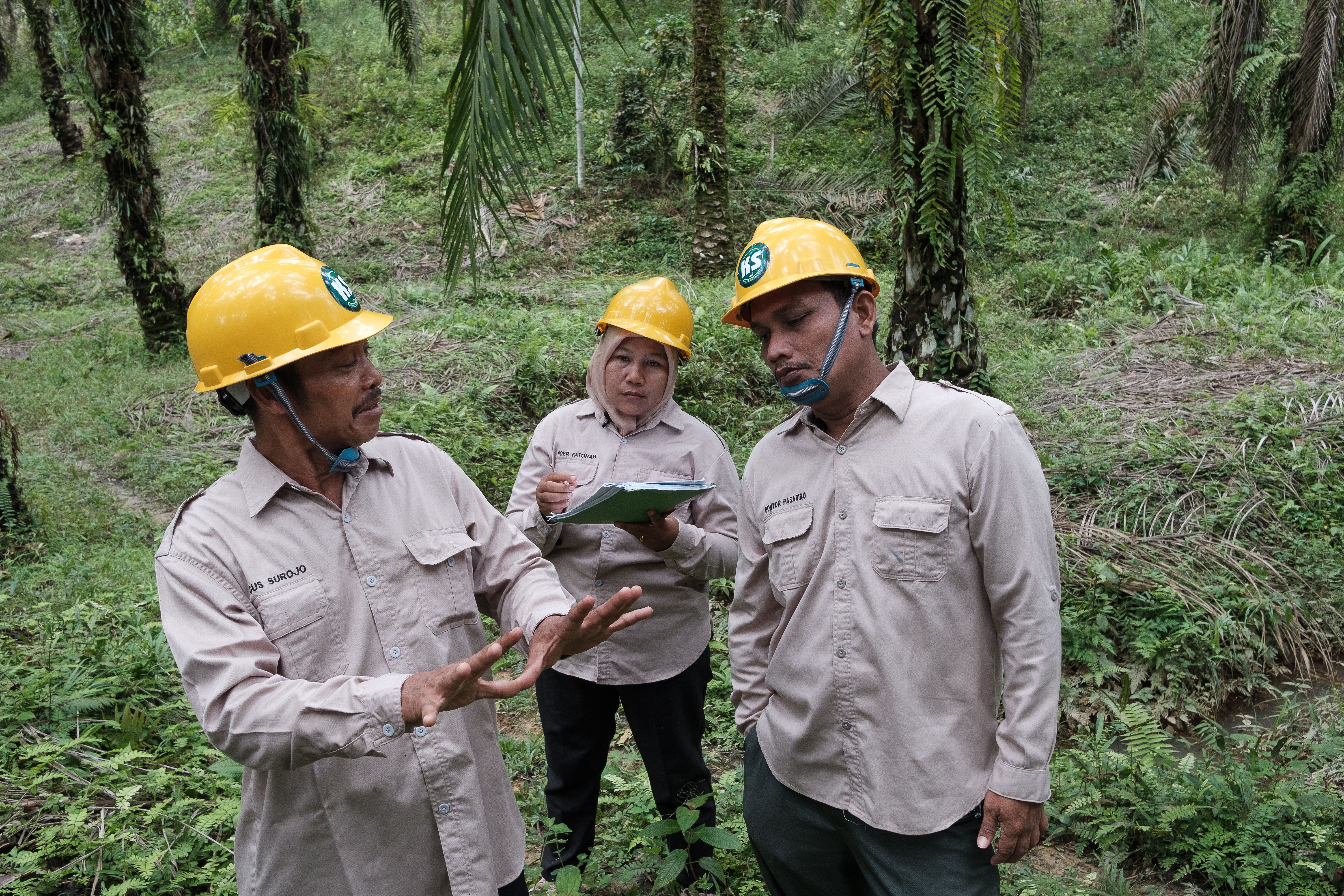 Three workers wearing yellow hard hats and beige uniforms having a discussion in a forest environment. One person gestures with their hands, while another takes notes.