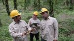 Three workers wearing yellow hard hats and beige uniforms having a discussion in a forest environment. One person gestures with their hands, while another takes notes.
