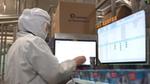 Factory worker wearing protective equipment conducting quality checks on Cornetto ice creams