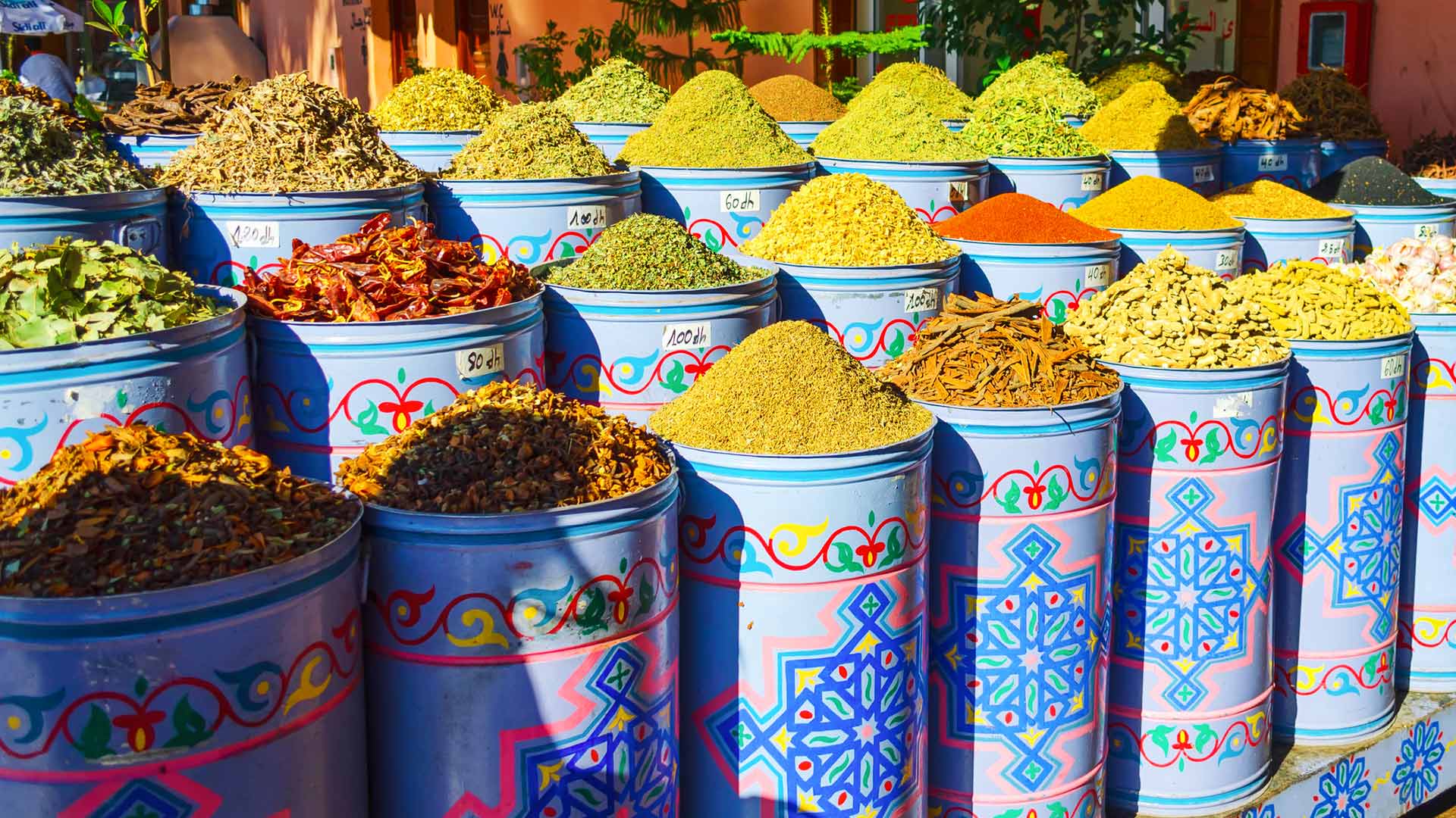 A collection of spices