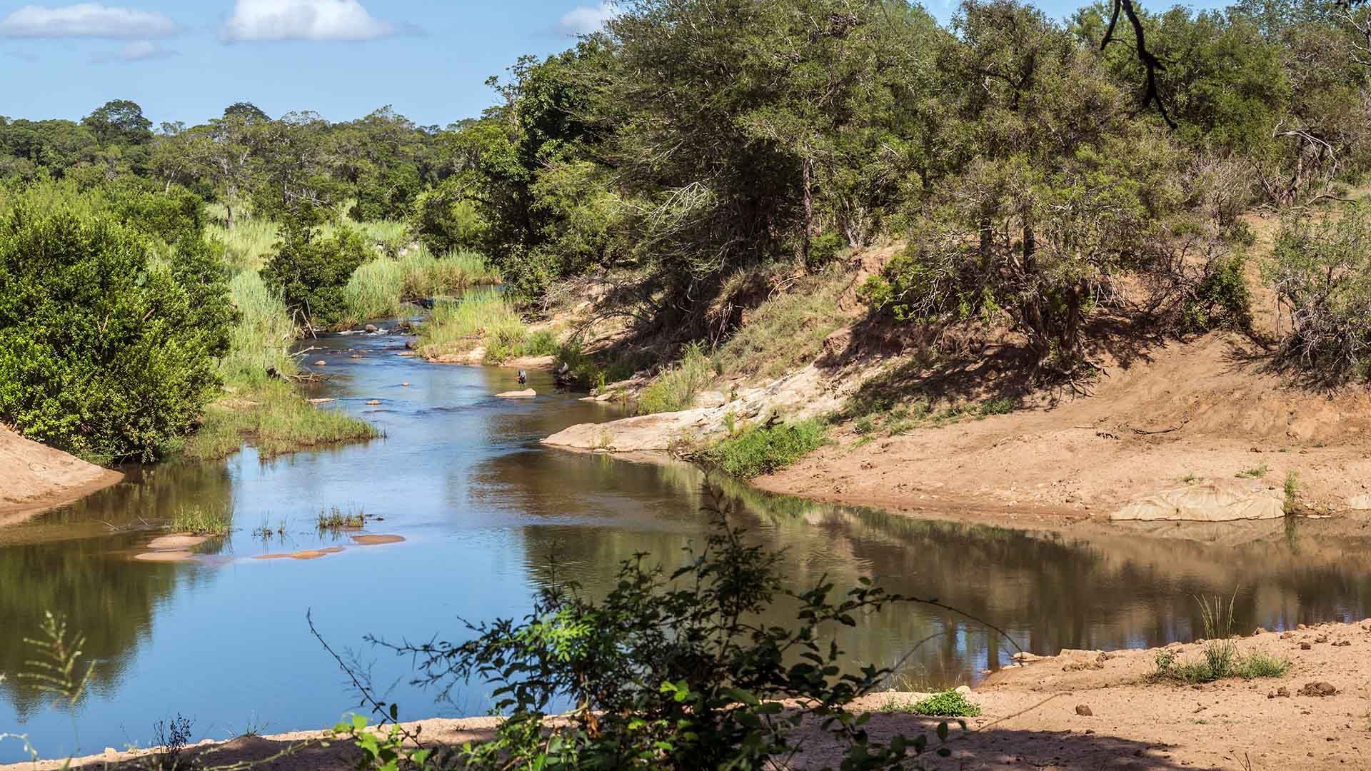 A river winding through a natural landscape, surrounded by green trees, shrubs and sandy banks under a clear blue sky.