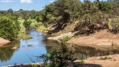 A river winding through a natural landscape, surrounded by green trees, shrubs and sandy banks under a clear blue sky.