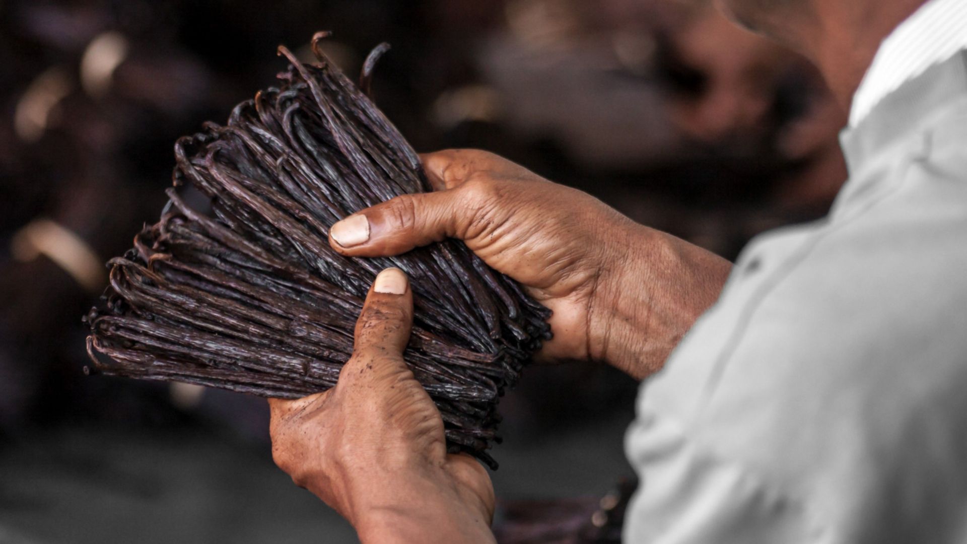 Vanilla for Change logo accompanied by partner logos of Save the Children, Wall’s and Symrise