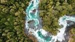 Forest river