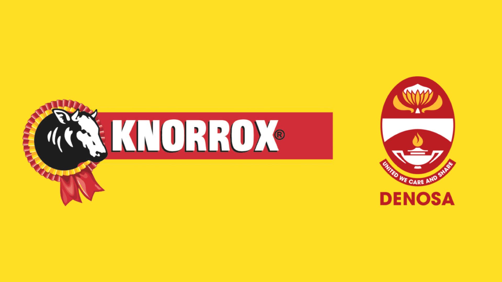 Image with the Knorrox and DENOSA logos.
