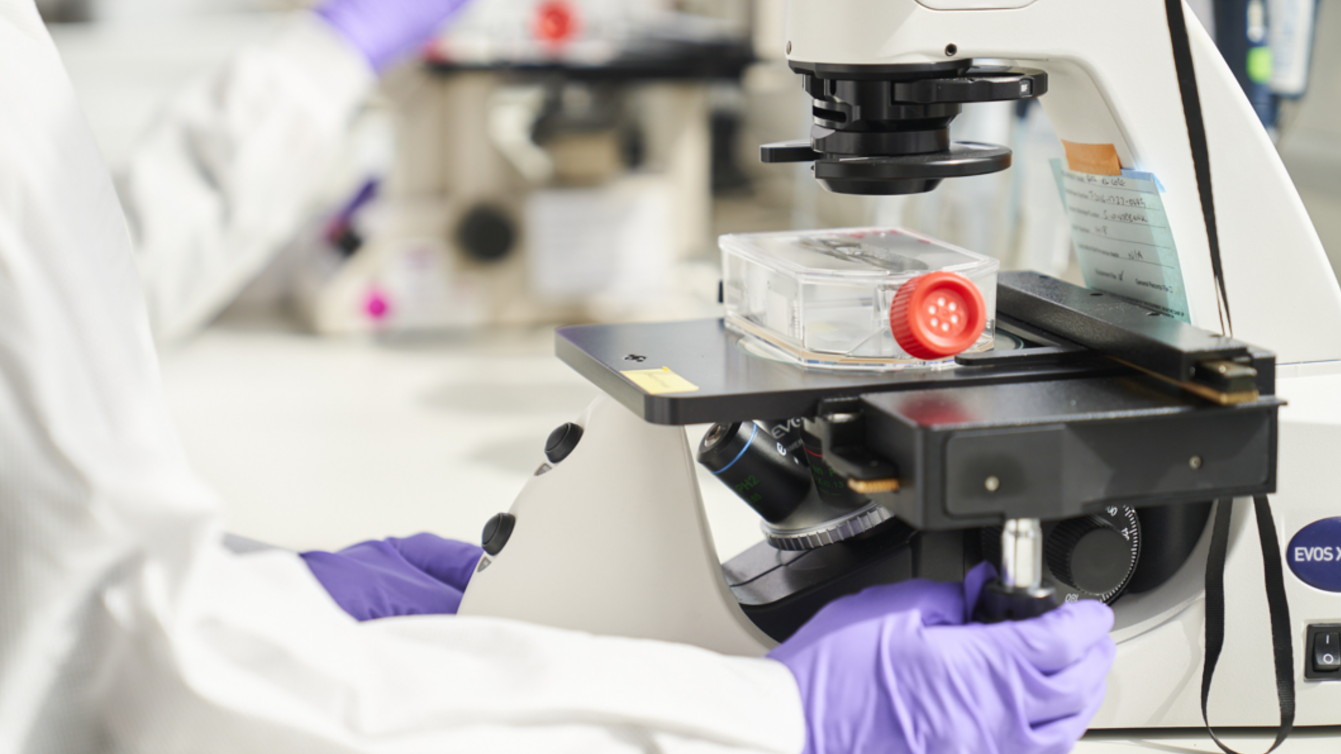 A close up photo of a scientist in one of Unilever's lab using a microscope and wearing purple surgical gloves.