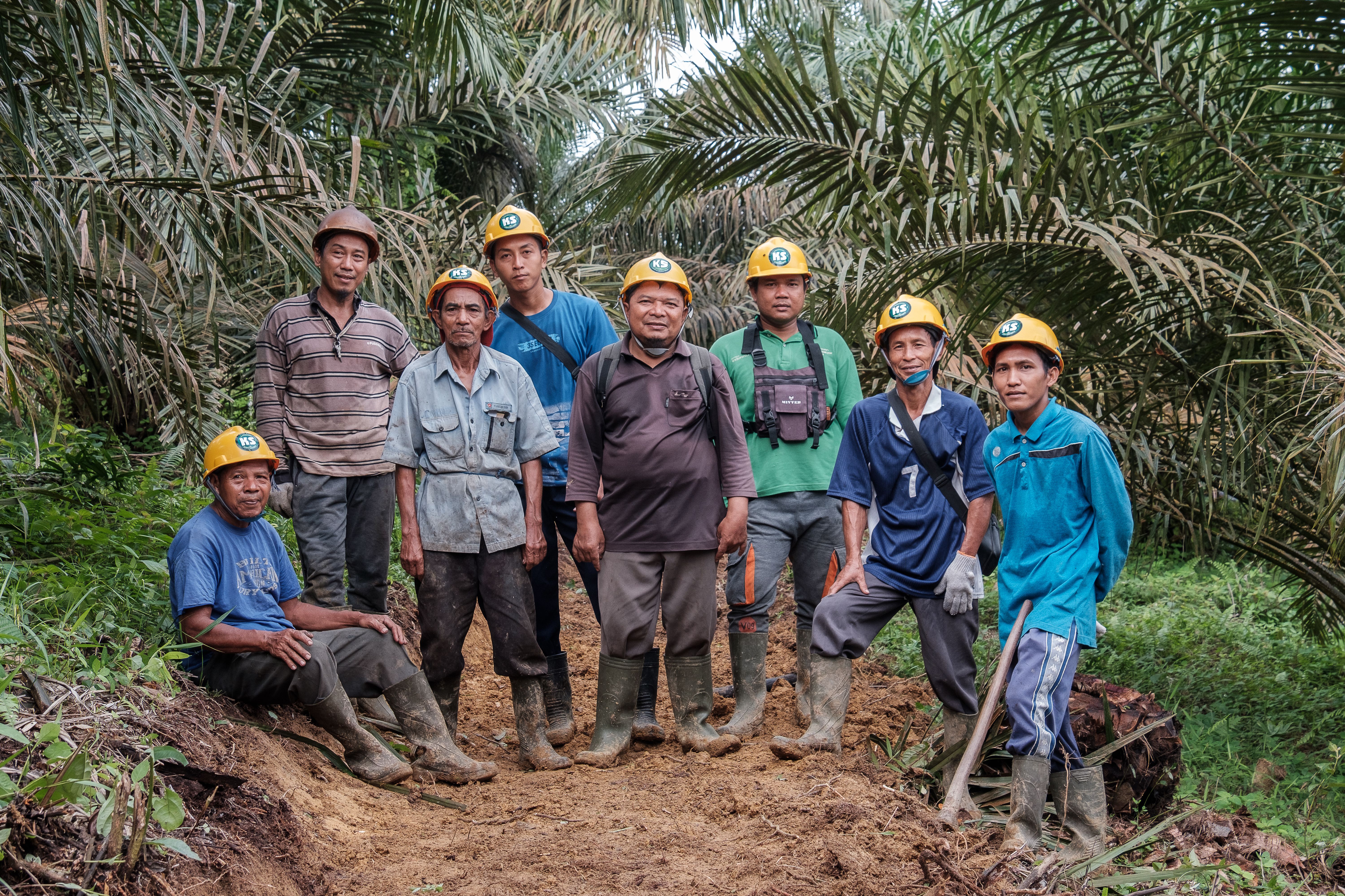 A photograph of a group of eight male smallholder farmers in boots and hard hats on a path surrounded either side by green palm trees, in Riau, Indonesia.
