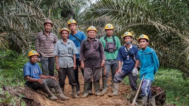 A photograph of a group of eight male smallholder farmers in boots and hard hats on a path surrounded either side by green palm trees, in Riau, Indonesia.